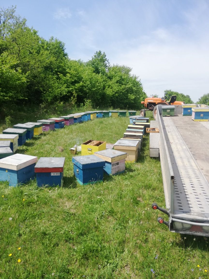 Schimb albine cu  utilaje agricole