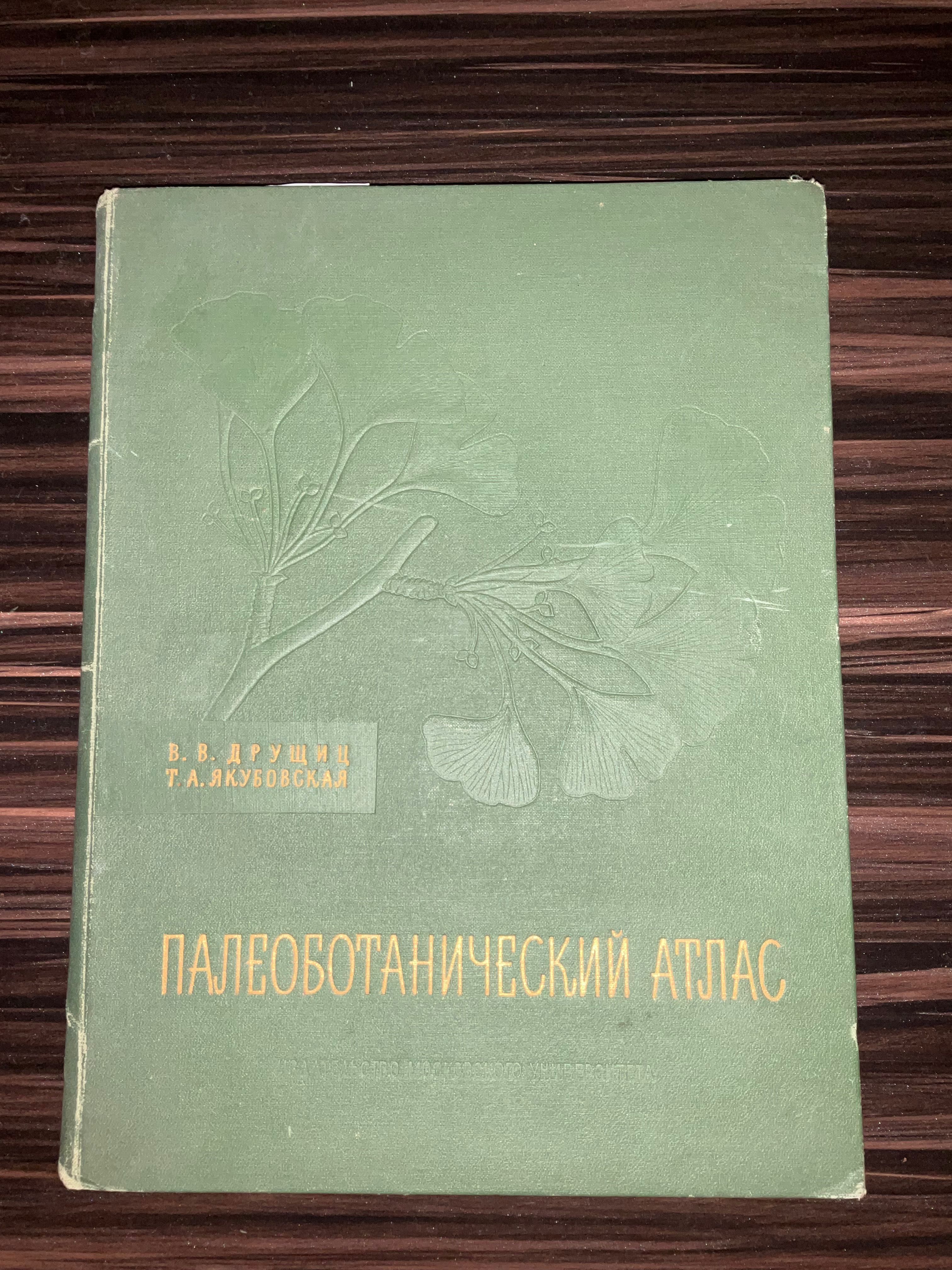 Палеоботанический атлас