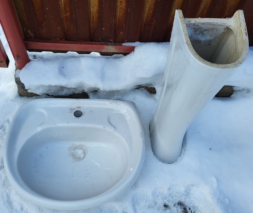 Раковина (тюльпан)