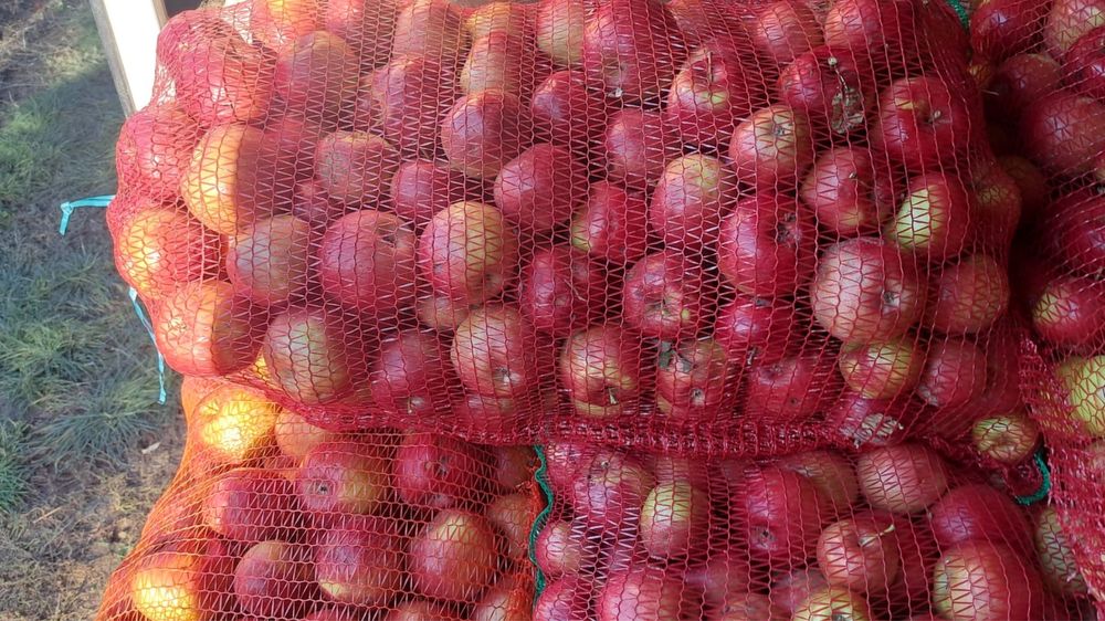 Vand mere pentru tuica