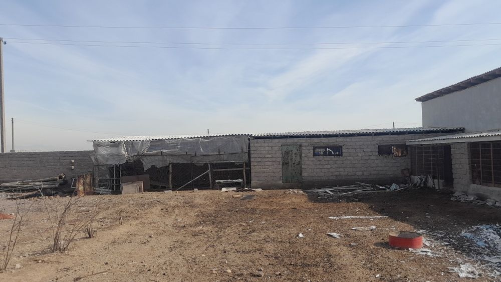 Dacha sotiladi beklar diyorida