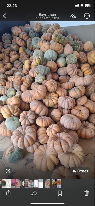 Тыква и тыквенный сок. Тыква по 100 тенге за кг. Сок по 2000 тенге.