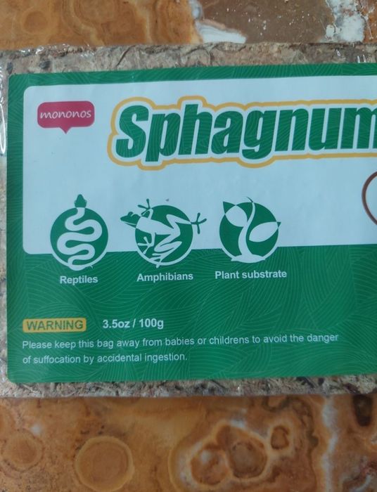 Muschi sphagnum moss natural