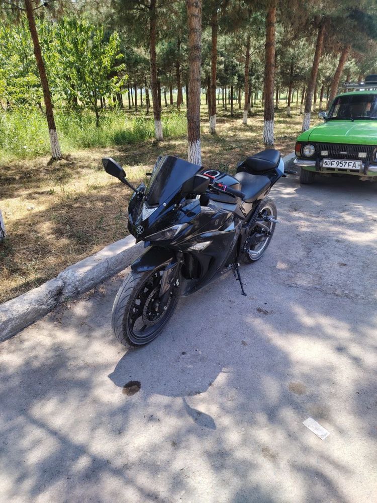 Moto elektr 2024