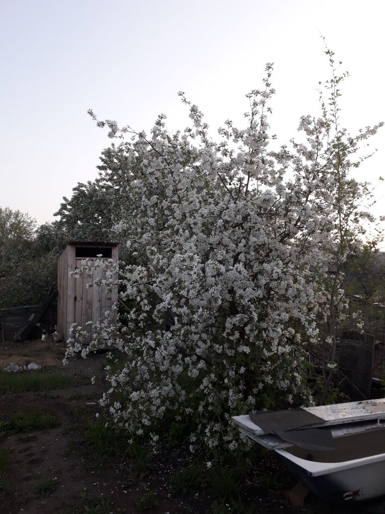 Продам дачу. Текстильщик 1