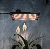 Ультрафиолетовые диодные лампы для растений