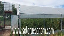 Vindem (si in rate ) solarii (sere) de gradina