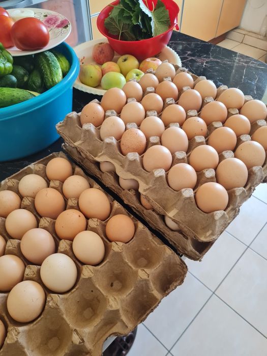 Продам яйцо домашних кур