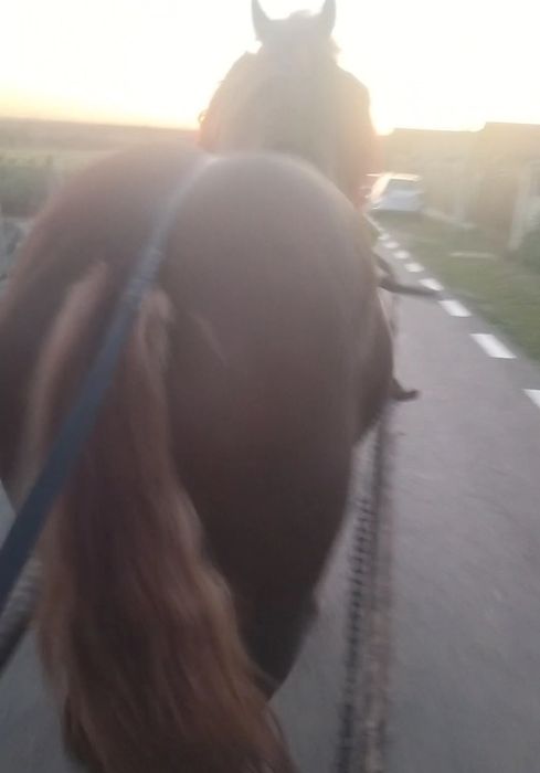 2200euro negociabil  Roman judetul Neamț