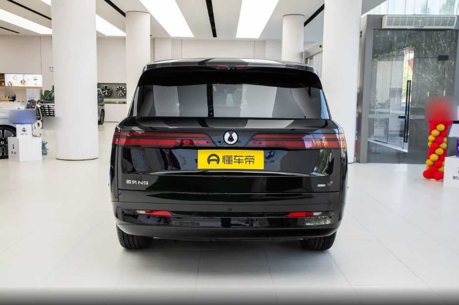 Mix motors Denza N9  cip Tashkent под заказ