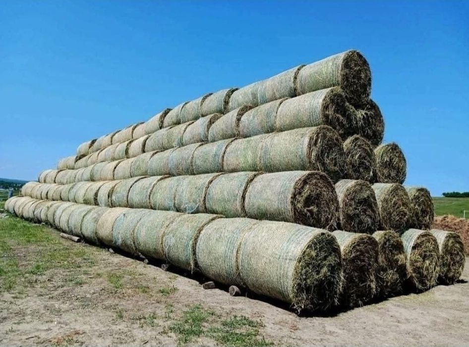 Baloti infoliati de lucernă, ovaz+mazare, orz si baloti de fân