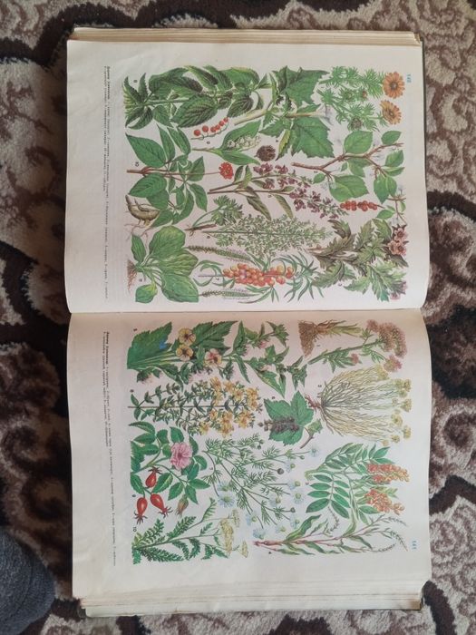 Саломатлик Энциклопедияси Сотилади