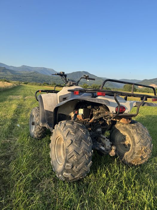 vand atv linhai 300