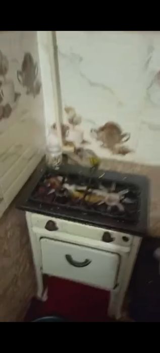 Сдаётся квартира на Чиланзаре 6 квартале 1ком галерейка семье 250у.е