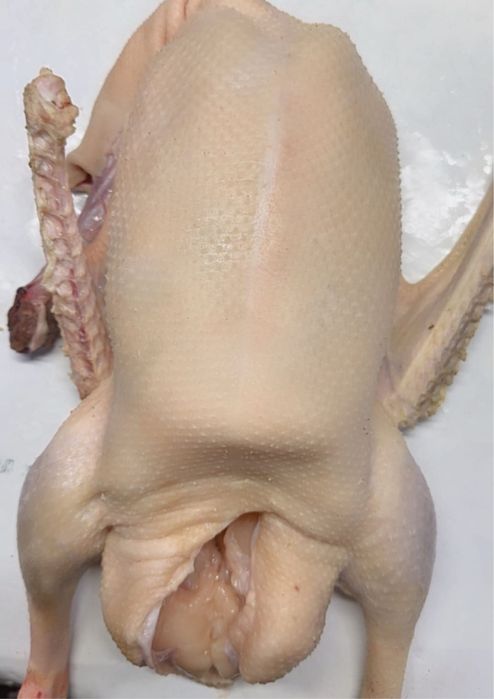 Продам мясо гуся