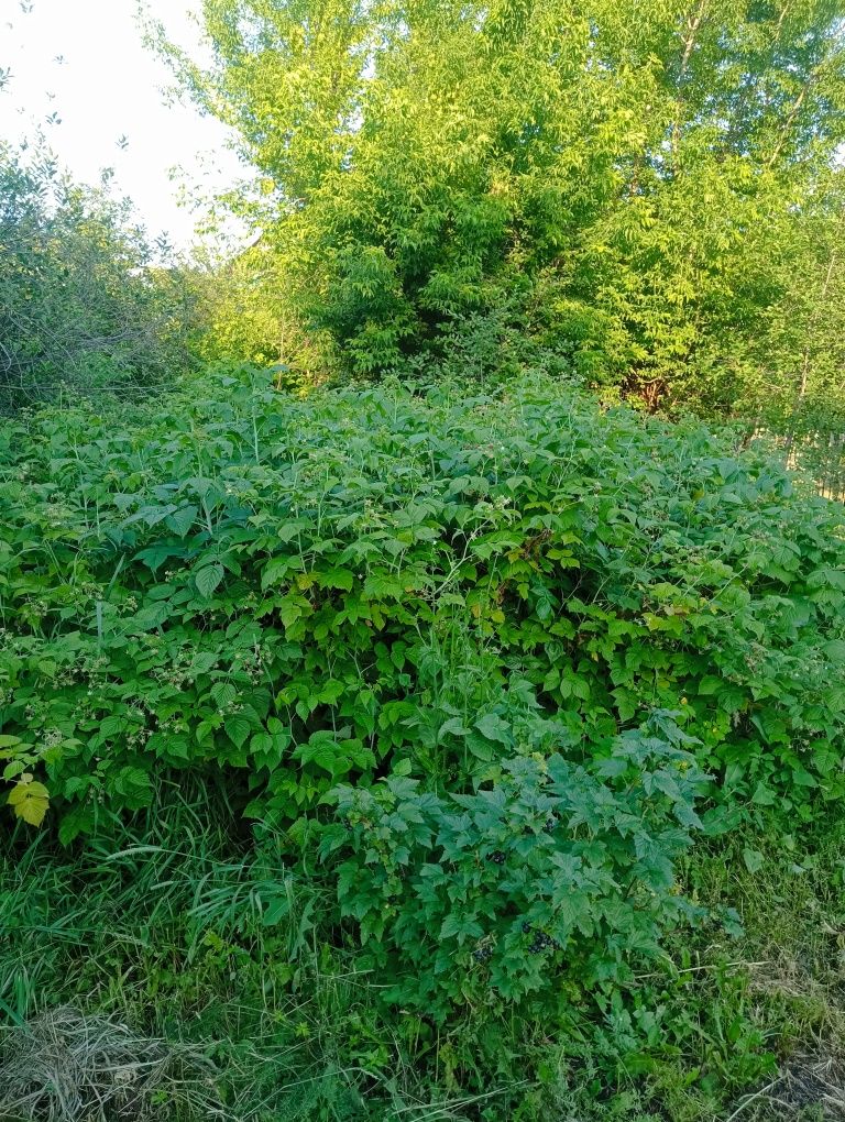 Продаю,Частный дом