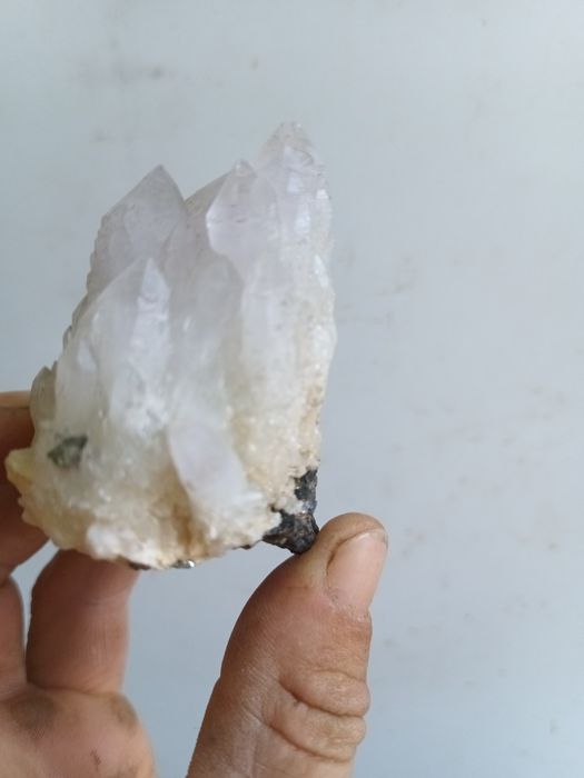 Chuarț cu fulgi de aur