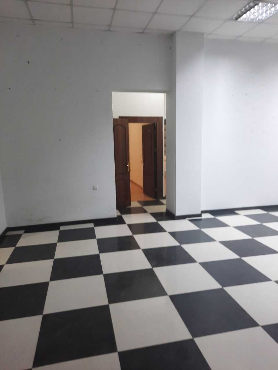 Arenda magazin beriladi