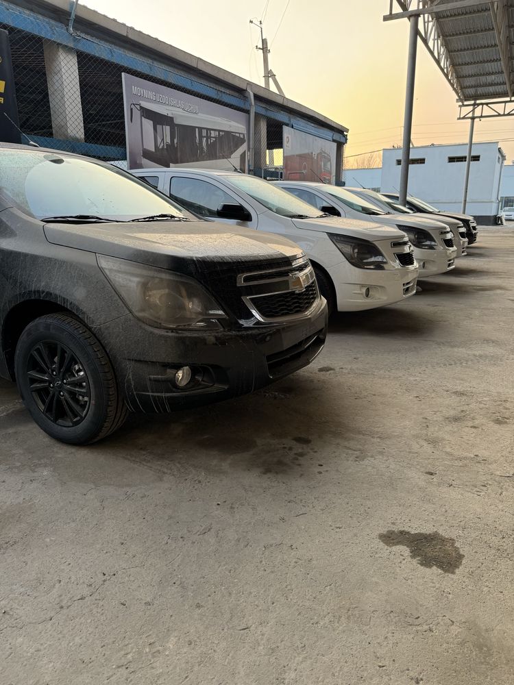 Cobalt midnight Avtokredit birlamchi 2025 счет спрака нотариус ичида