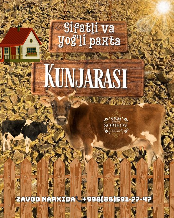 Sifatli kunjara optim narxda zavoddan 4900 soʻm