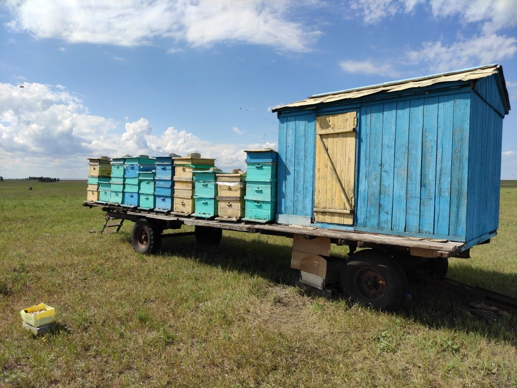 Продам пасеку, телегу