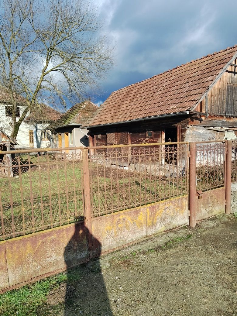 Vând casă în satul Crișan