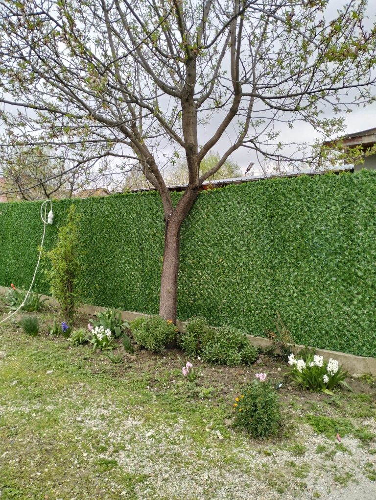 Gard viu artificial, stabil și durabil.