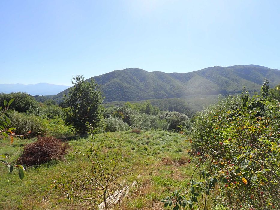 Teren intravilan de 1409 mp cu PUZ - Cisnadioara