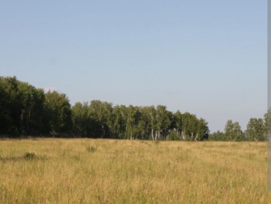 Продам земельный участок 18 соток,  по зерендинской трассе. Рядом лес