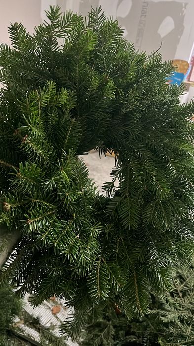 Vând Coronițe din brad natural