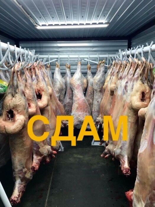 В аренду морозильники, холодильные камеры, склады