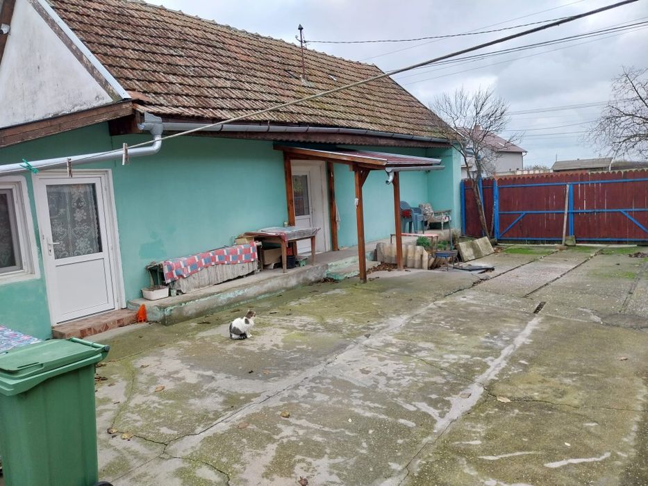 Casa de vânzare în Cenad județul Timis