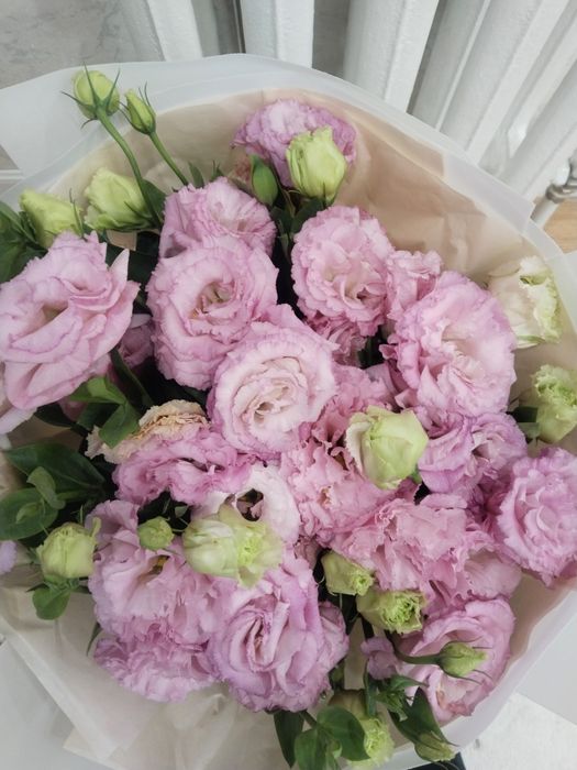 Шикарный богатый Букет цветы  Роза