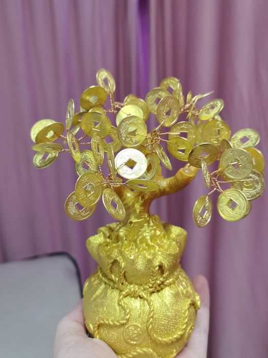 Продам денежное дерево