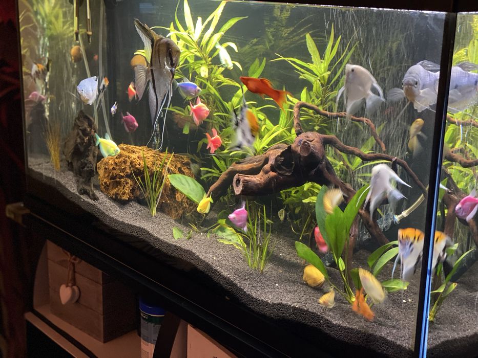 Acavriu 100 L cu accesori incluse