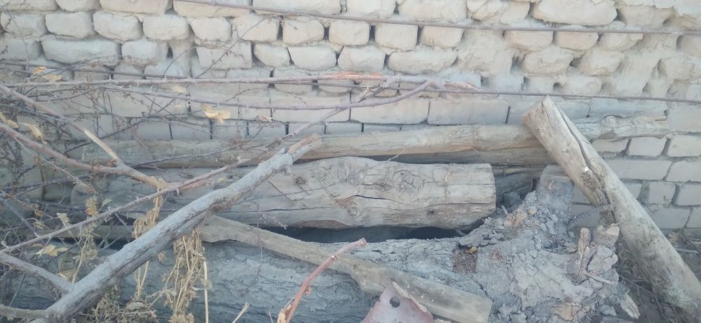 Тахтала одинлик олма касилган, арик касилган