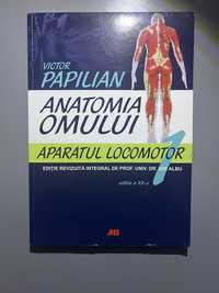 Anatomia omului, Victor papilian