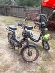 Piaggio bravo perfect functional