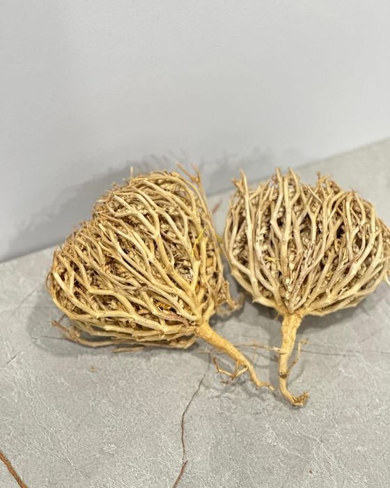 Каф Марьям емдік шөбі сатылады