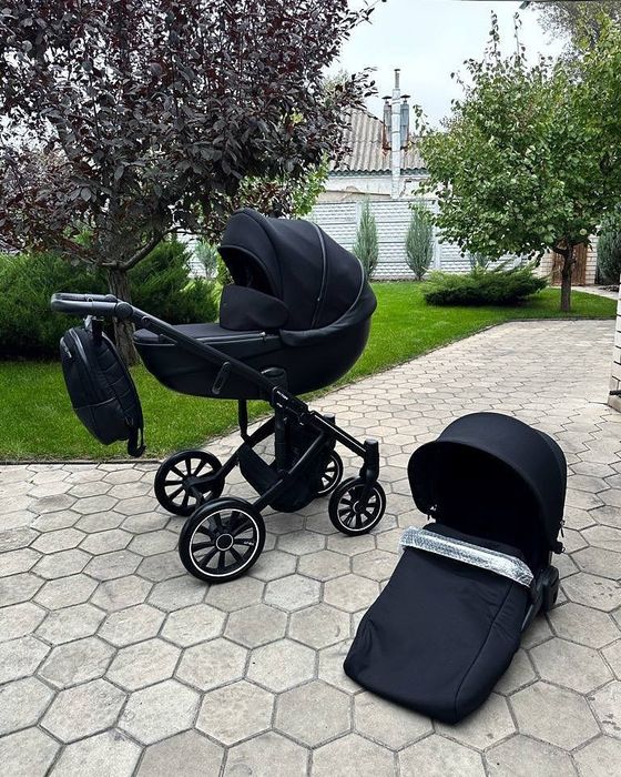 Коляска Anex Am type 2 В 1