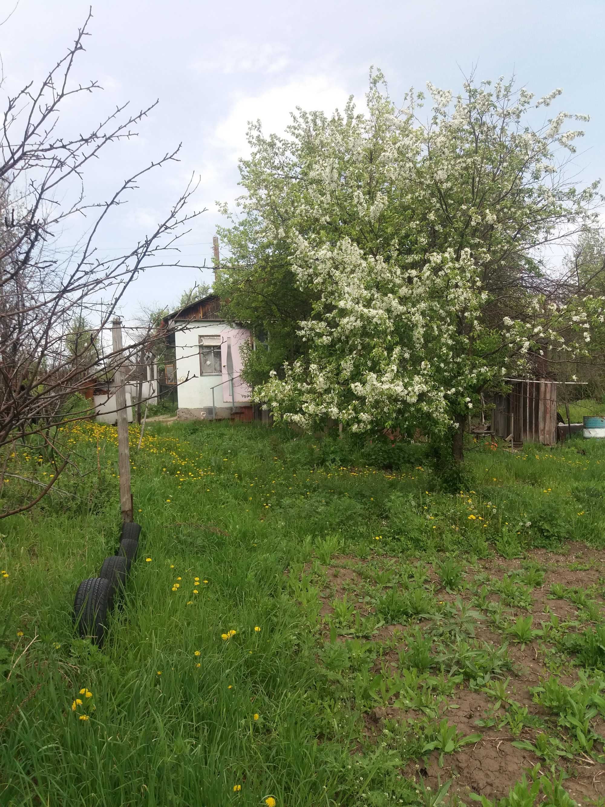 Продам дачу СО ЗАЛИВ-1