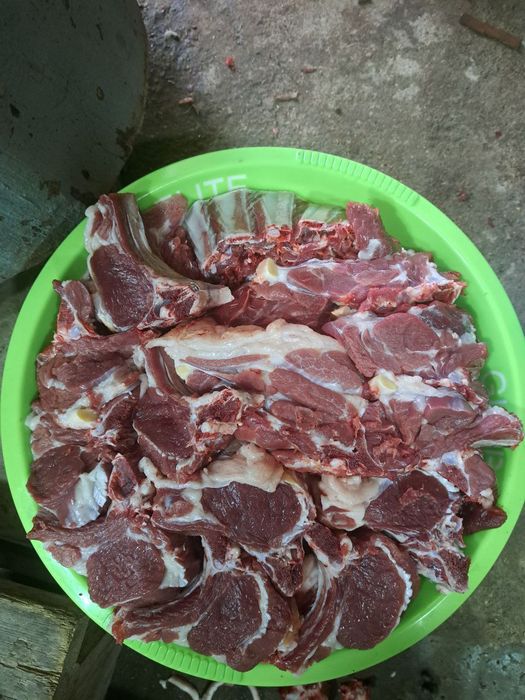 Qassoblik xizmati bor bemalol aloqaga chiqila