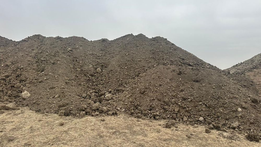 Чернозём,продаю чистый чернозем,по г Шымкент и Туркестанской области