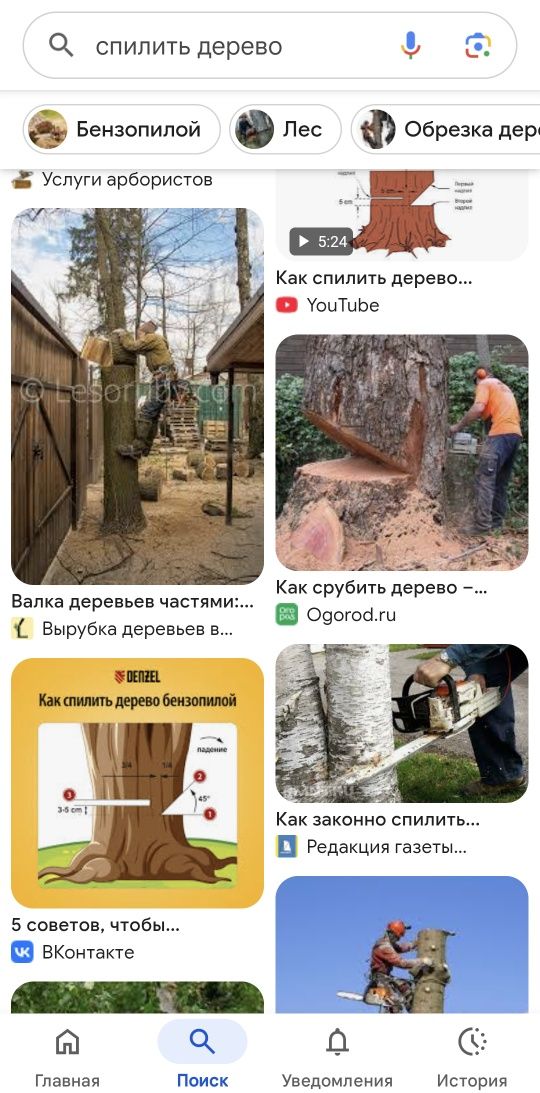 Спил дерева. Работы бензопилы. Возможен выезд в деревни