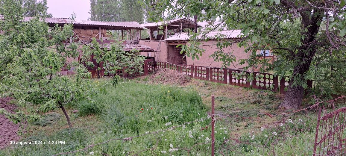 30 соток. Дачабоп хавоси тоза, ёзда салкин, 4 та дача курса болади