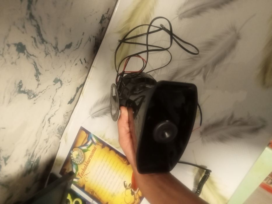 Serena migalka holati idial