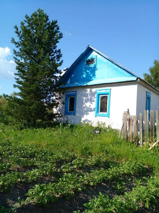 Продаётся трёхкомнатный дом по пер. Некрасова, д. 16 в г. Риддер