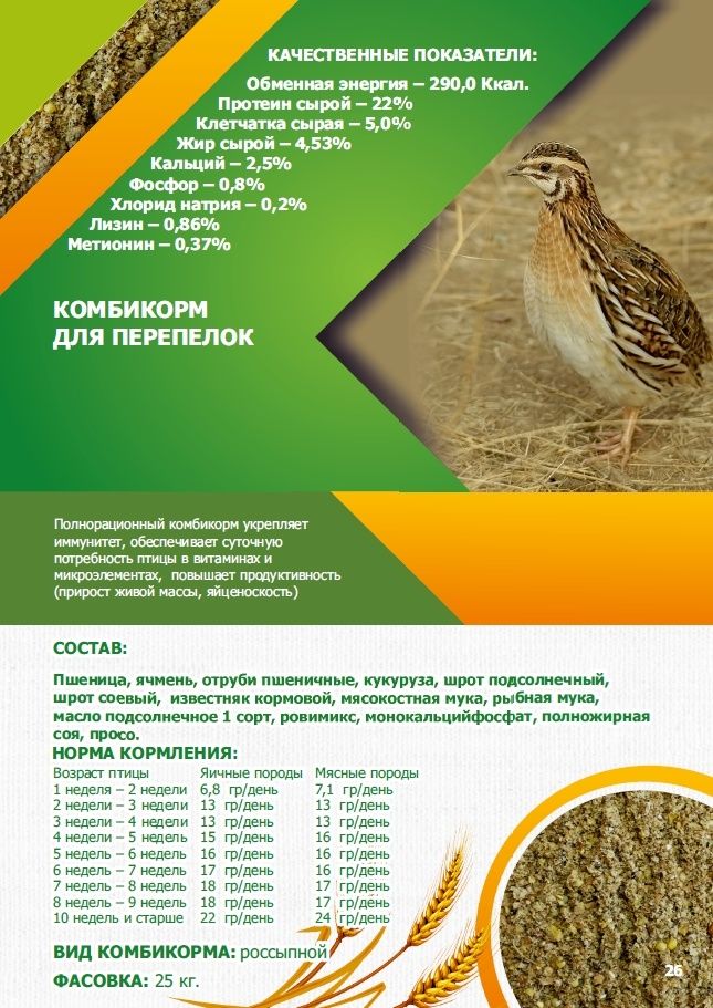 Корма и комбикорма для птиц и животных