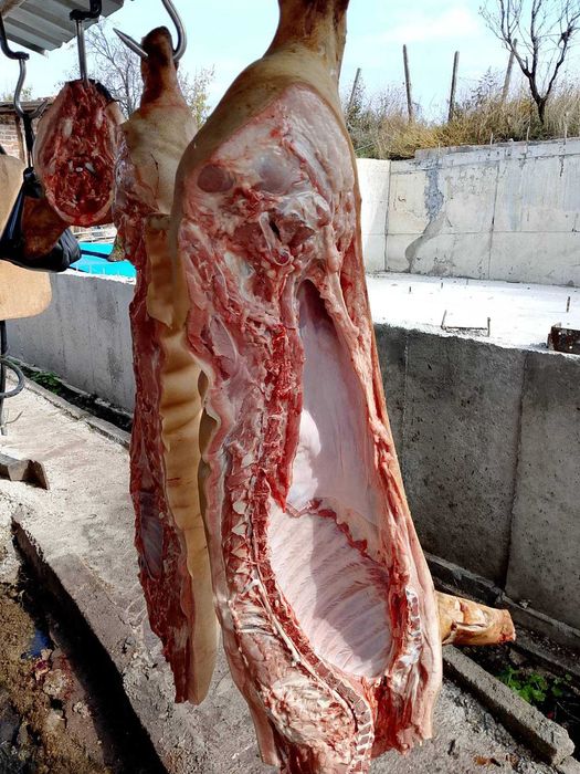 Свинско трупно пърлено месо на половинки