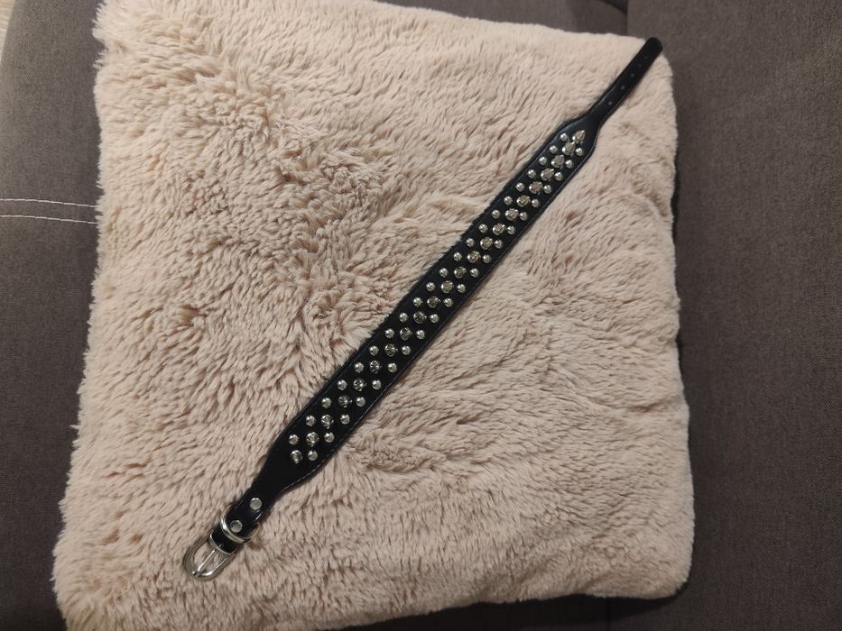 Zgarda cu tepi pentru caini